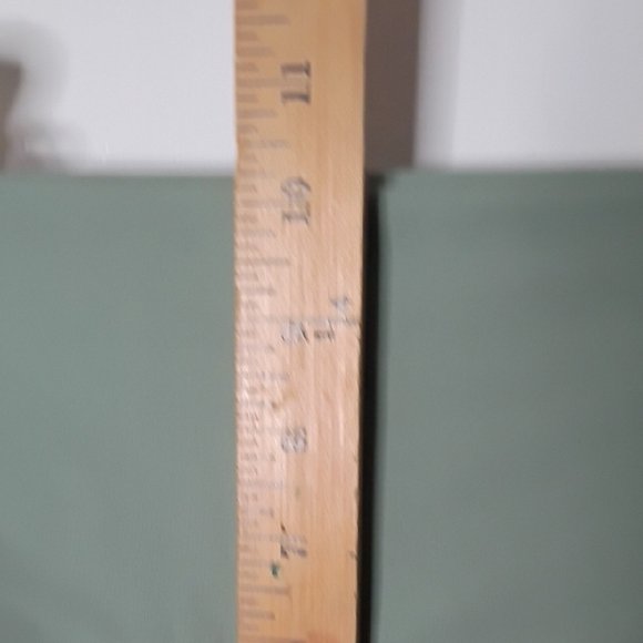 Lululemon Align High-Rise Short 6" in the color Palm Court size 4 - Picture 7 of 10